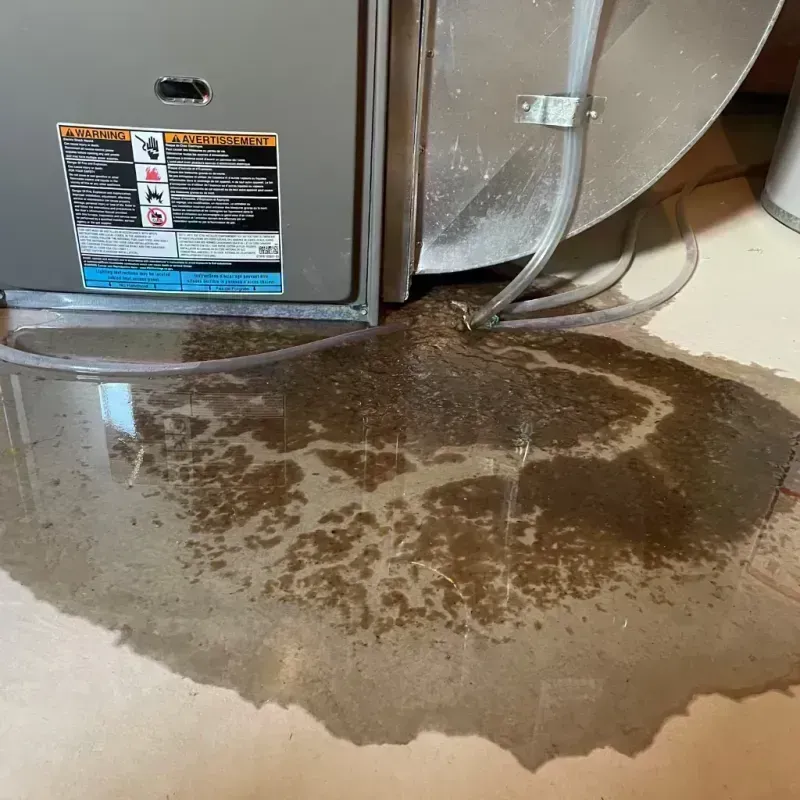 Appliance Leak Cleanup in Seabrook, TX